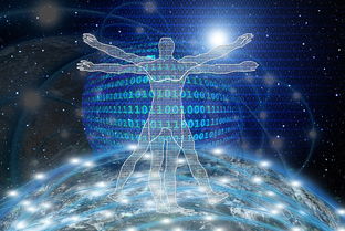 揭秘量化投资策略，如何在理财领域实现科学决策